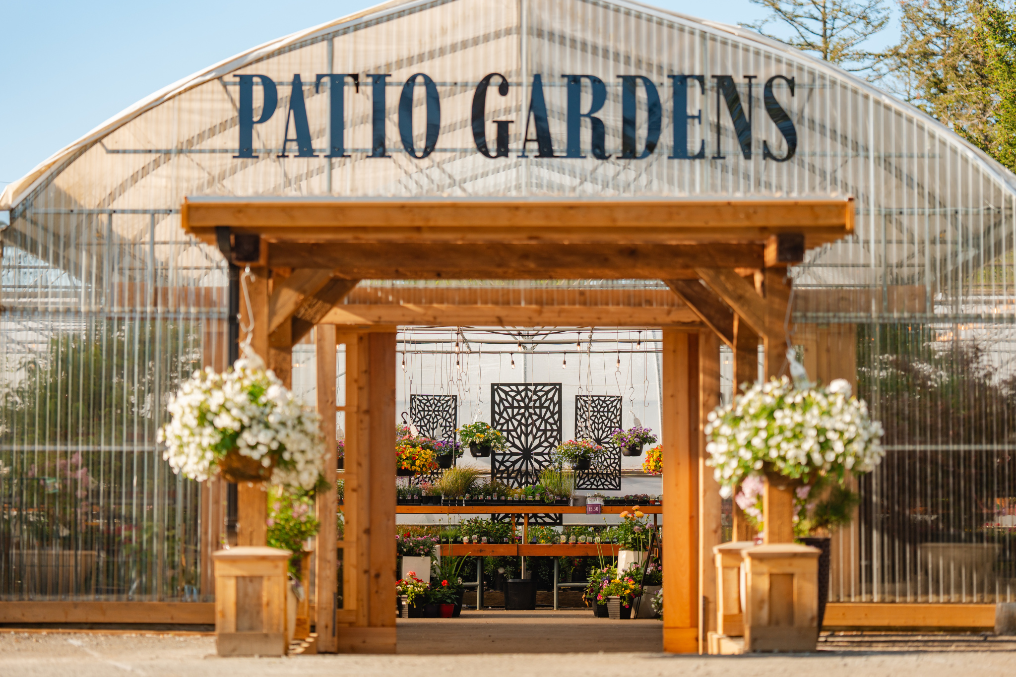 Profile picture of Patio Gardens , event host